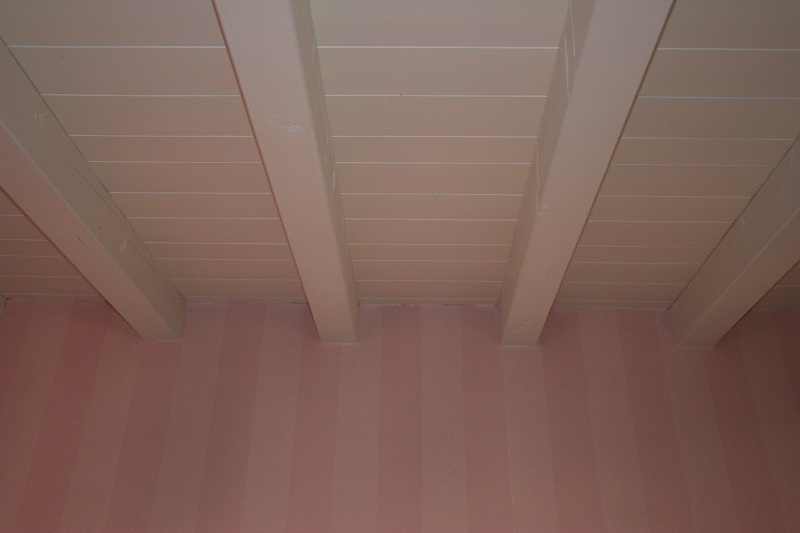 VERNICIATURE (1)