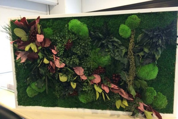 quadro vegetale